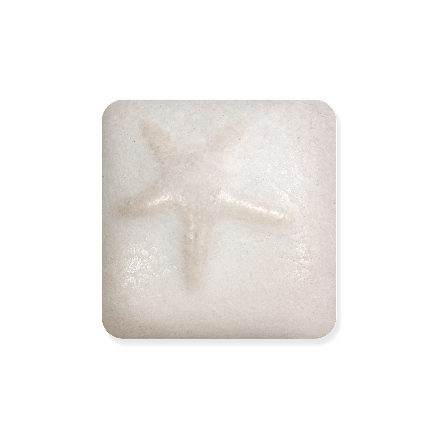 MS-250 WHITE PEBBLE BASE GLAZE-Dry