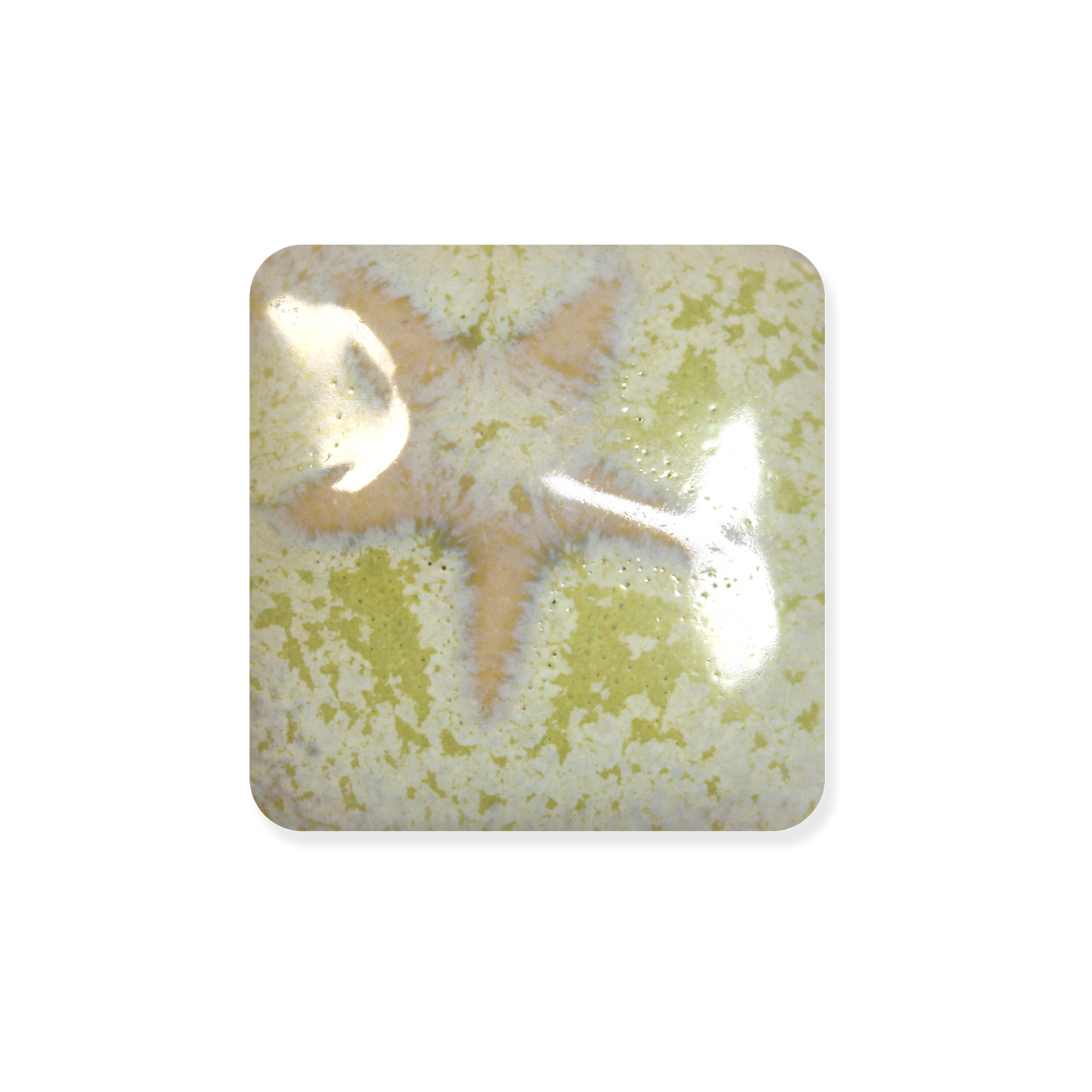 MS-229 SEA GRASS GLAZE-Dry