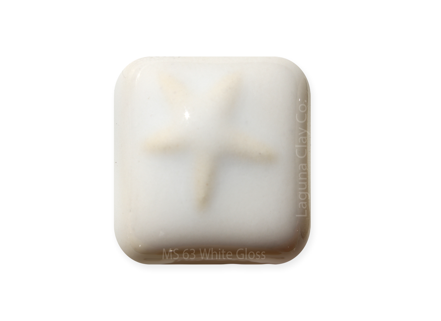 MS-63 WHITE GLOSS GLAZE