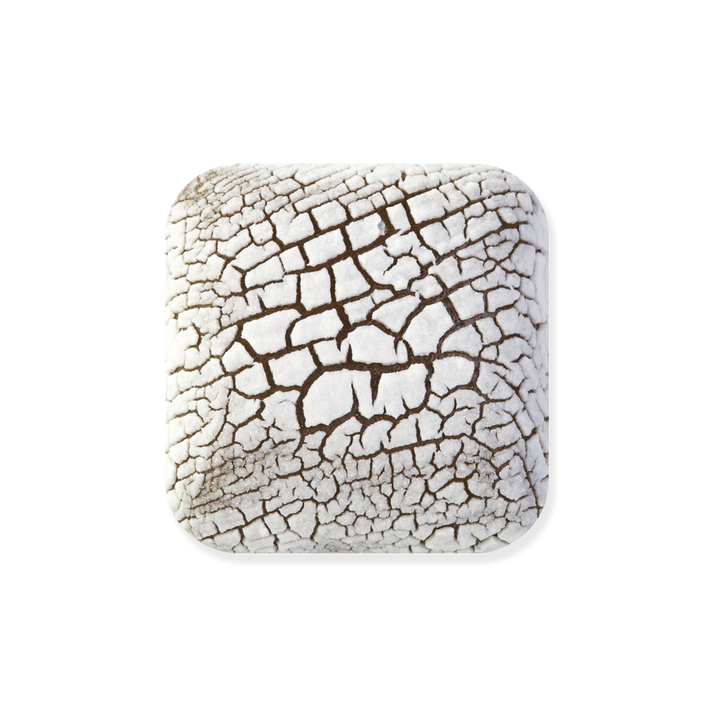 DL-100 DRY LAKE FOSSIL WHITE GLAZE