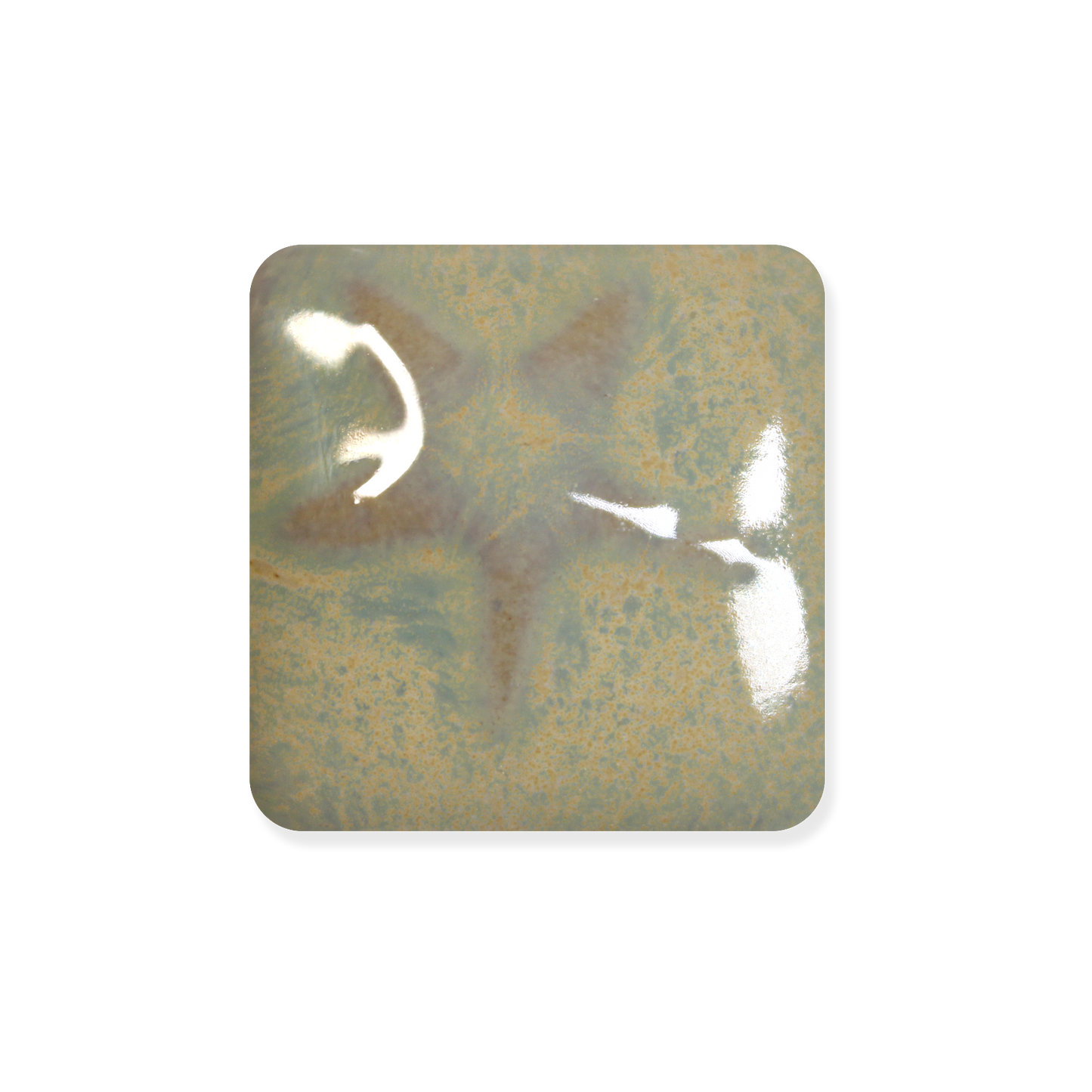 MS-228 SEA GOLD GLAZE-Dry