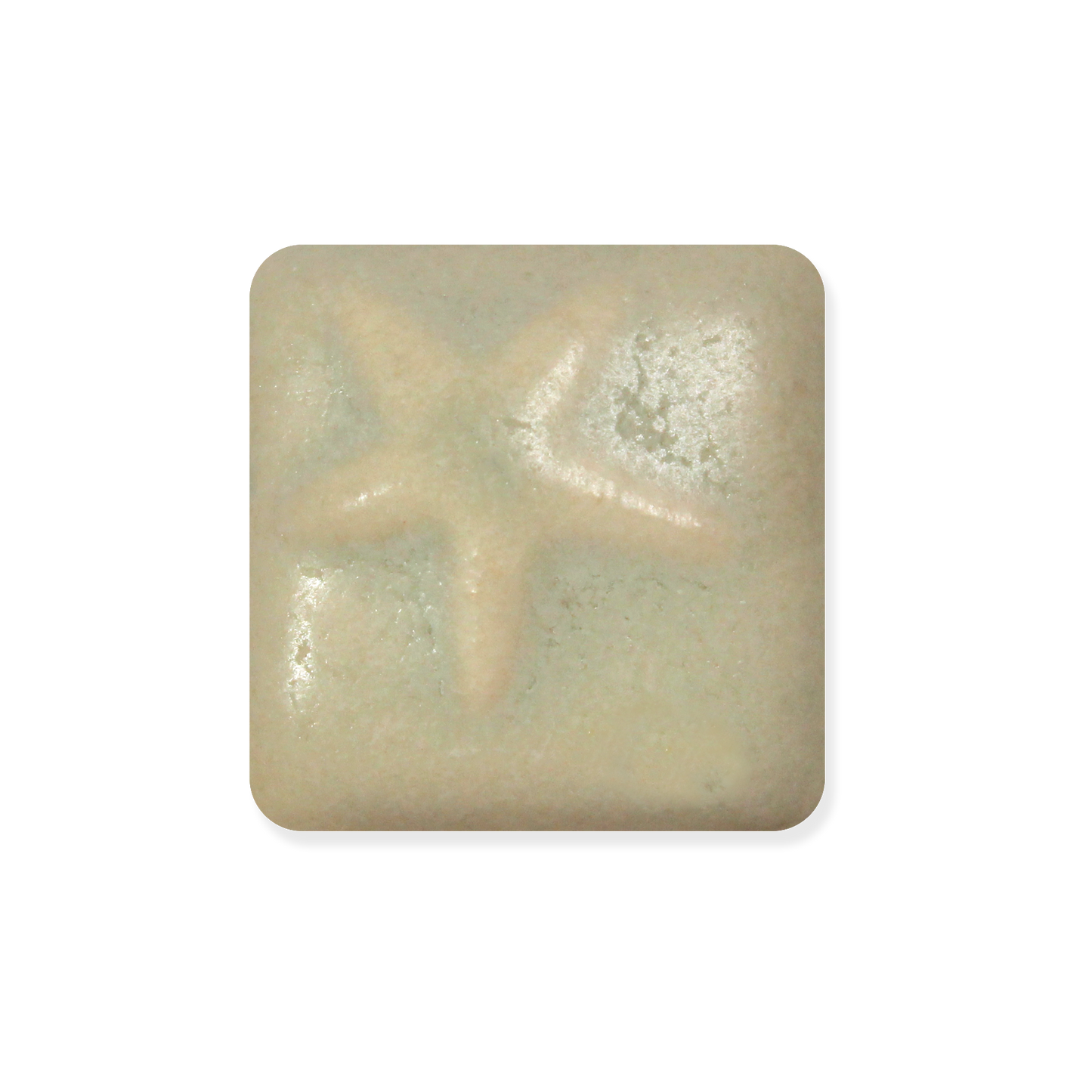 MS-263 OLIVE LEAF GLAZE-Dry