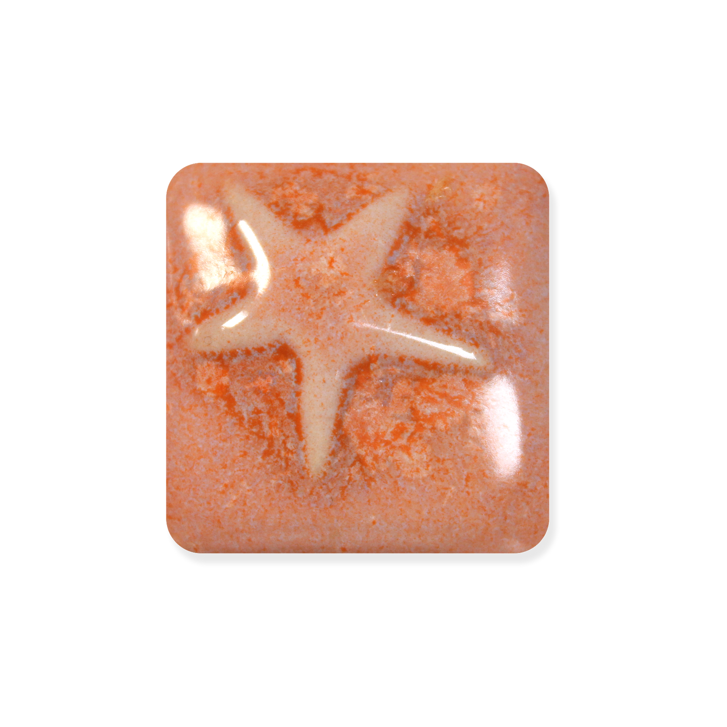 MS-223 DESERT SUNSET GLAZE-Dry