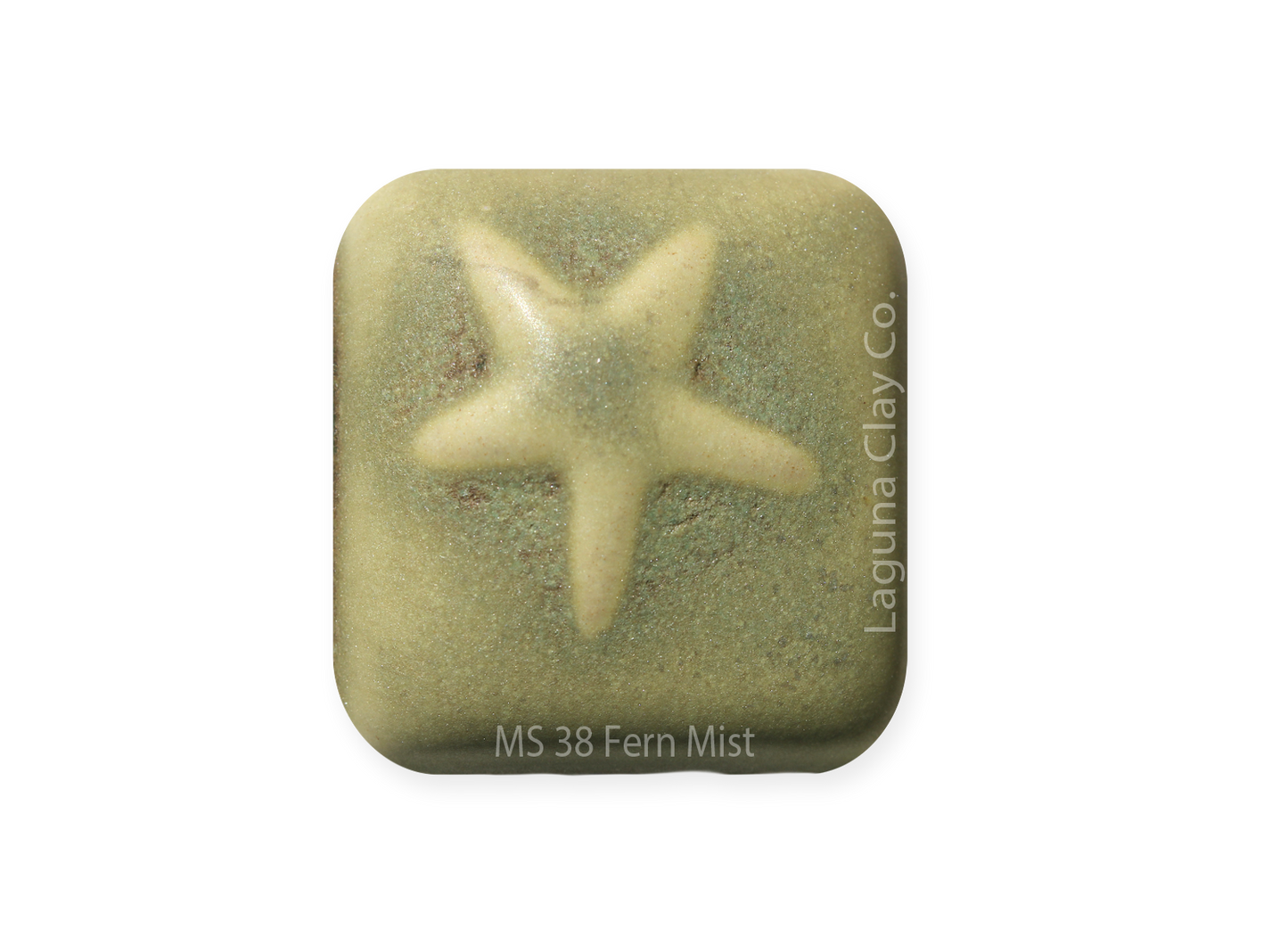 MS-38 FERN MIST GLAZE