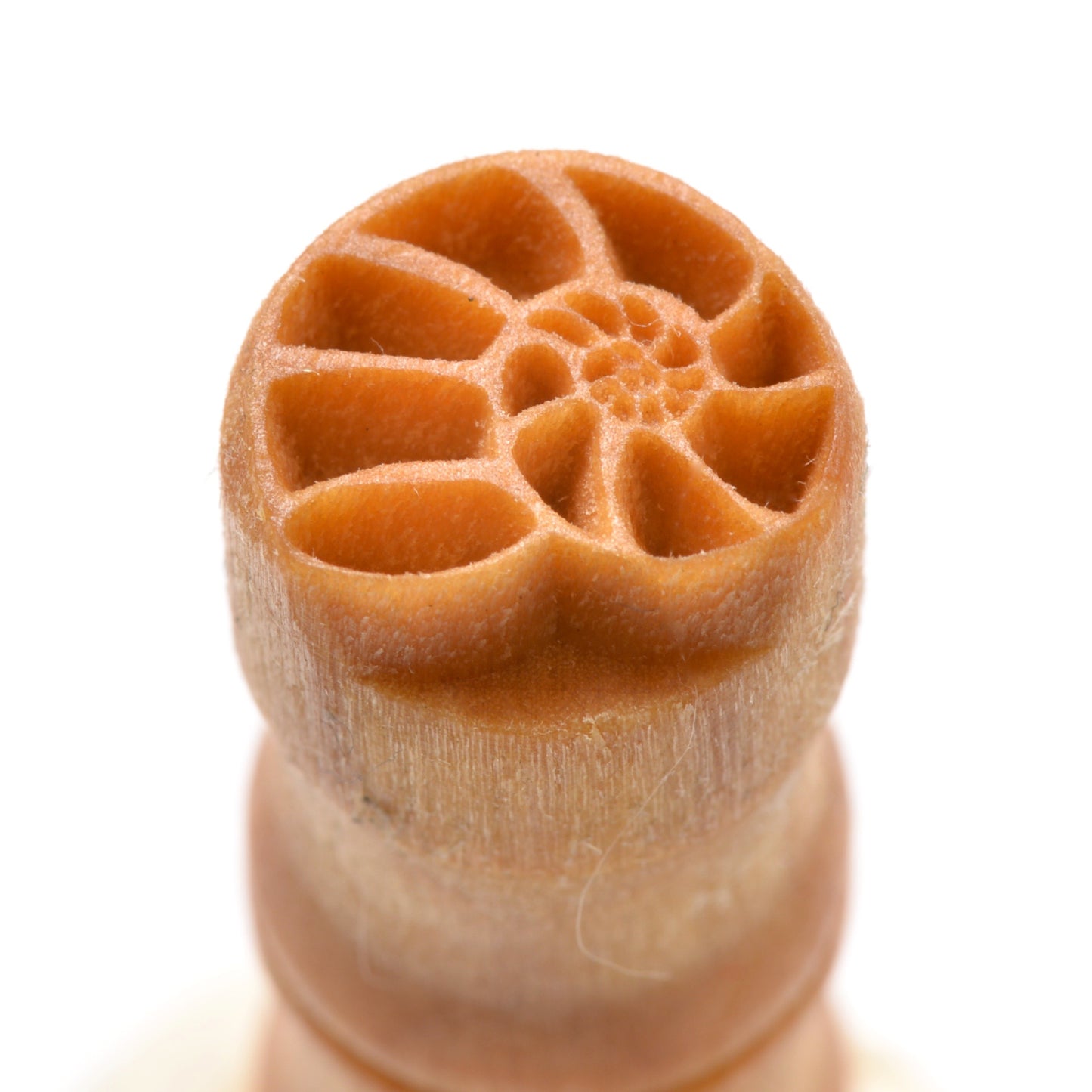 MKM SCS-021 NAUTILUS STAMPS4CLAY (1.5cm)