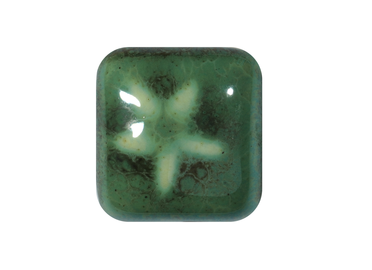 RG-2 MONSTERA ^5 GLAZE