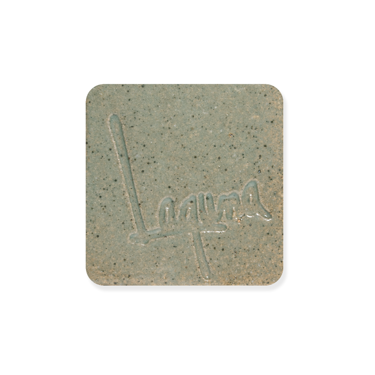WC-550 CELADON ^10 GLAZE - Dry
