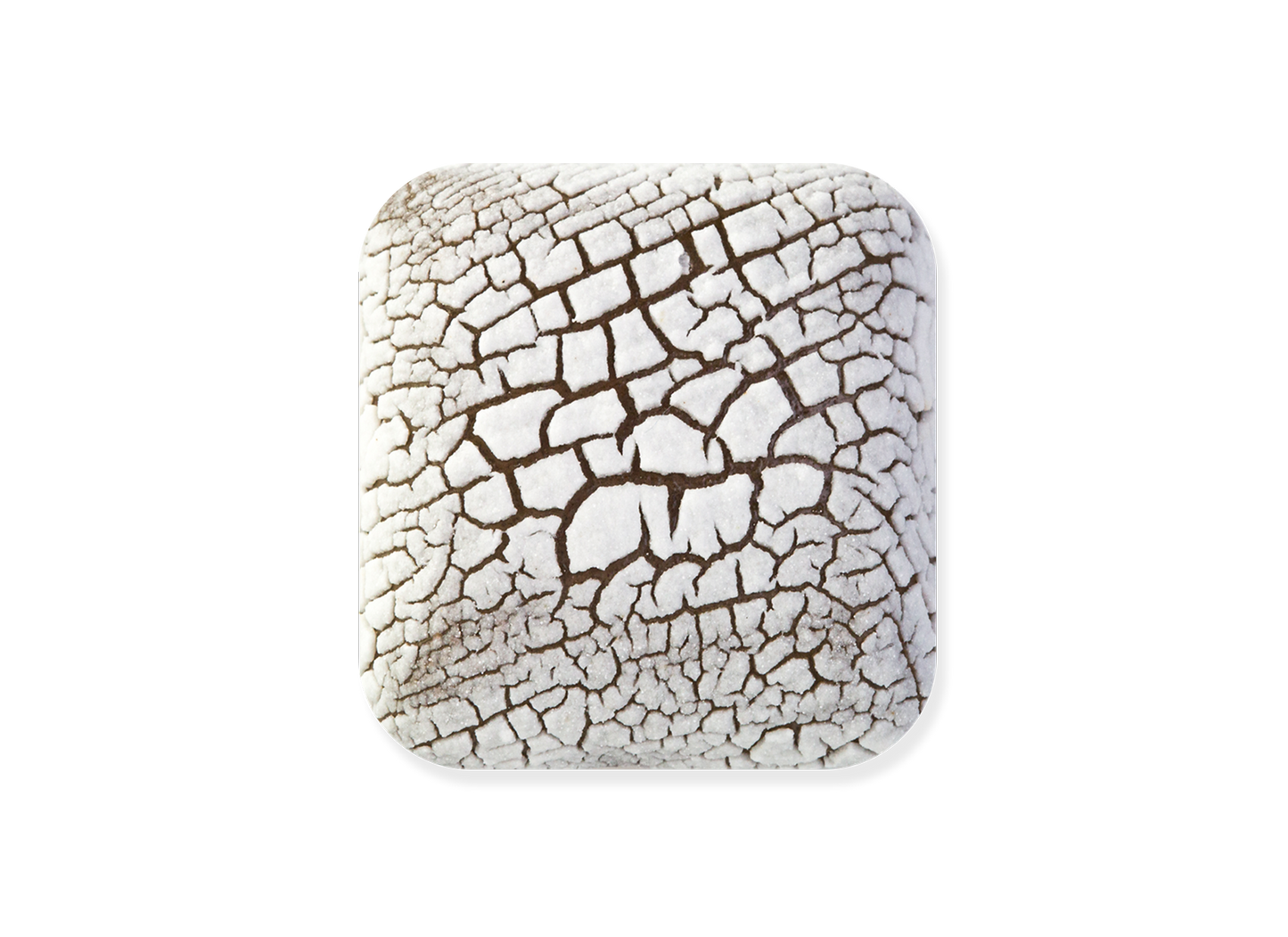 DL-100 DRY LAKE FOSSIL WHITE GLAZE