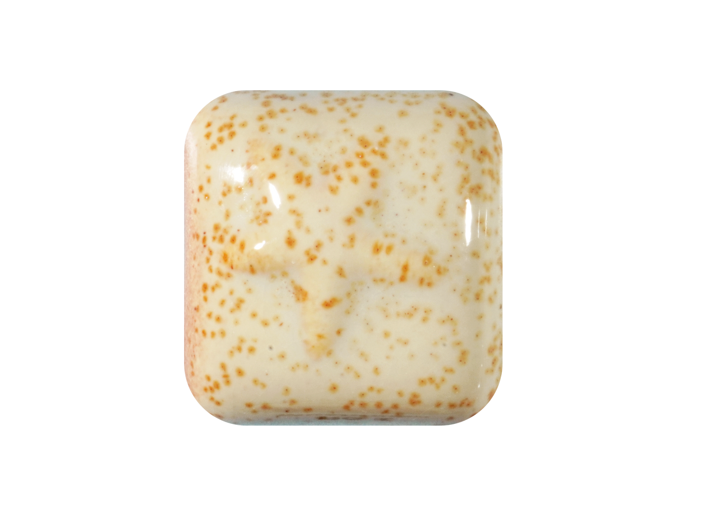 RG-1 MUSHROOM ^5 GLAZE-Dry