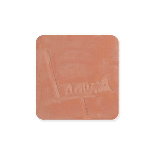 TERRA COTTA, ^06 SLIP, GAL