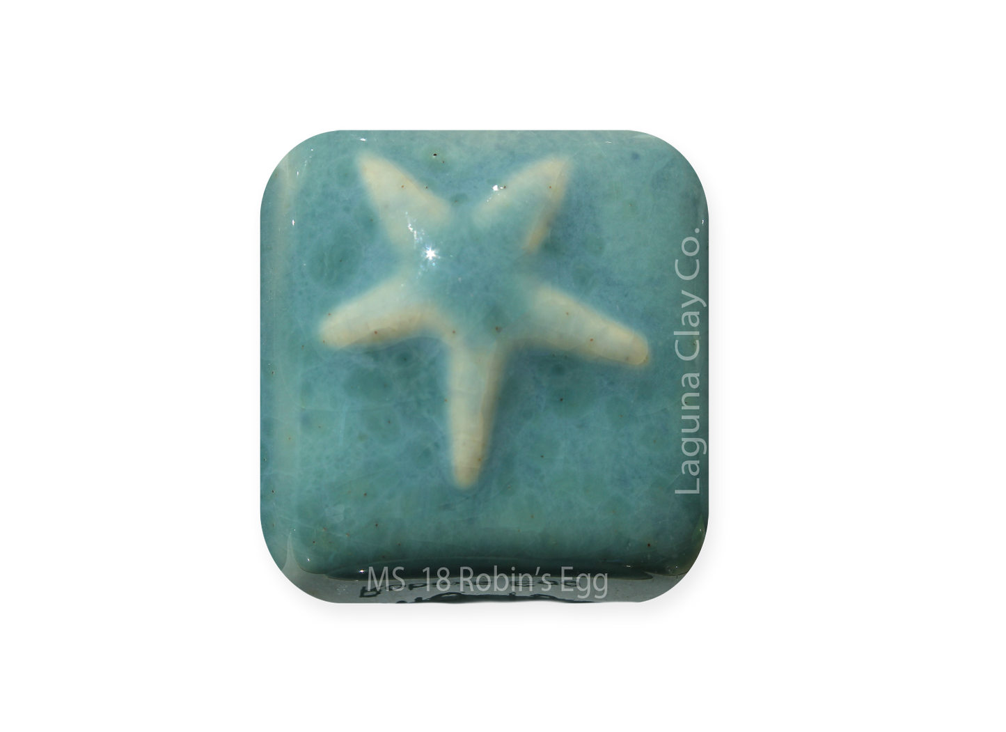 MS-18 ROBINS EGG GLAZE-Dry