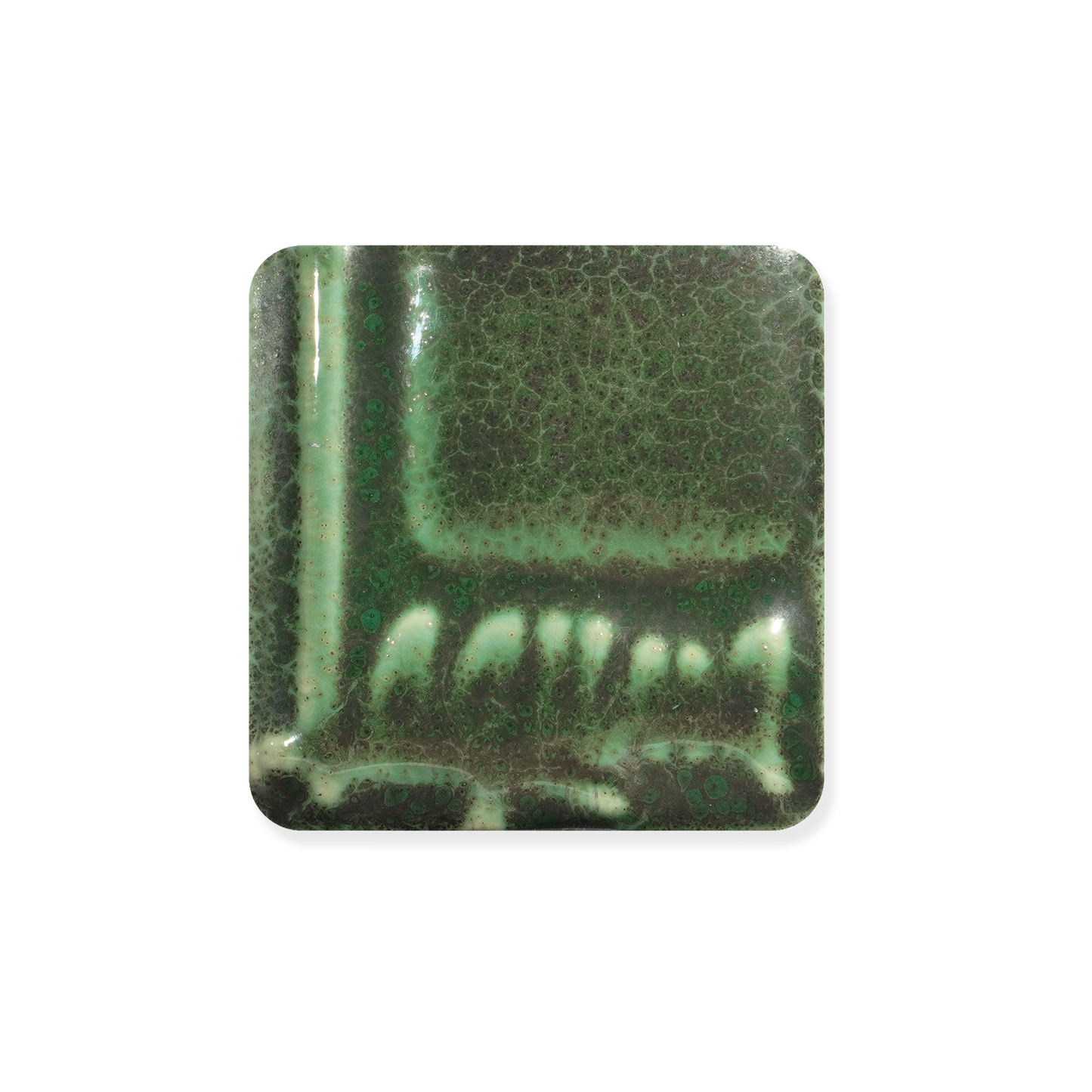 RG-2 MONSTERA ^5 GLAZE-Dry