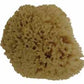 ROCK ISLAND SPONGE NATURAL APX 4-5" EACH