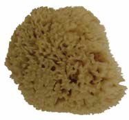 ROCK ISLAND SPONGE NATURAL APX 4-5" EACH