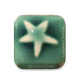 MS-4 FOREST GREEN GLAZE