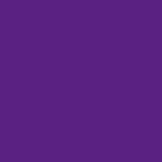 U.G. PEN, PURPLE TM620