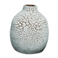 DL-100 DRY LAKE FOSSIL WHITE GLAZE