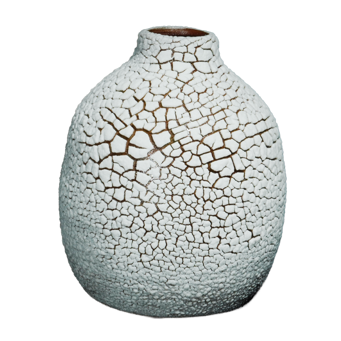 DL-100 DRY LAKE FOSSIL WHITE GLAZE