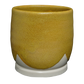 MS-15 OCHRE GLAZE-Dry