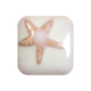 MS-224 MINT SPICE GLAZE