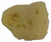 SILK SPONGE NATURAL #3 (2-1/2-3") EACH