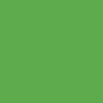 6263 VICTORIA GREEN MASON STAIN-SPECIAL ORDER SM6263