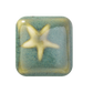 WC-100 CELADON FROTH ^5 GLAZE