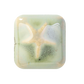WC-166 CRYSTAL FOREST ^5 GLAZE